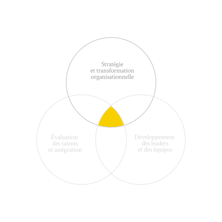 Image avec 3 cercles pour illustrer la pratique stratégie et transformation organisationnelle de Humance