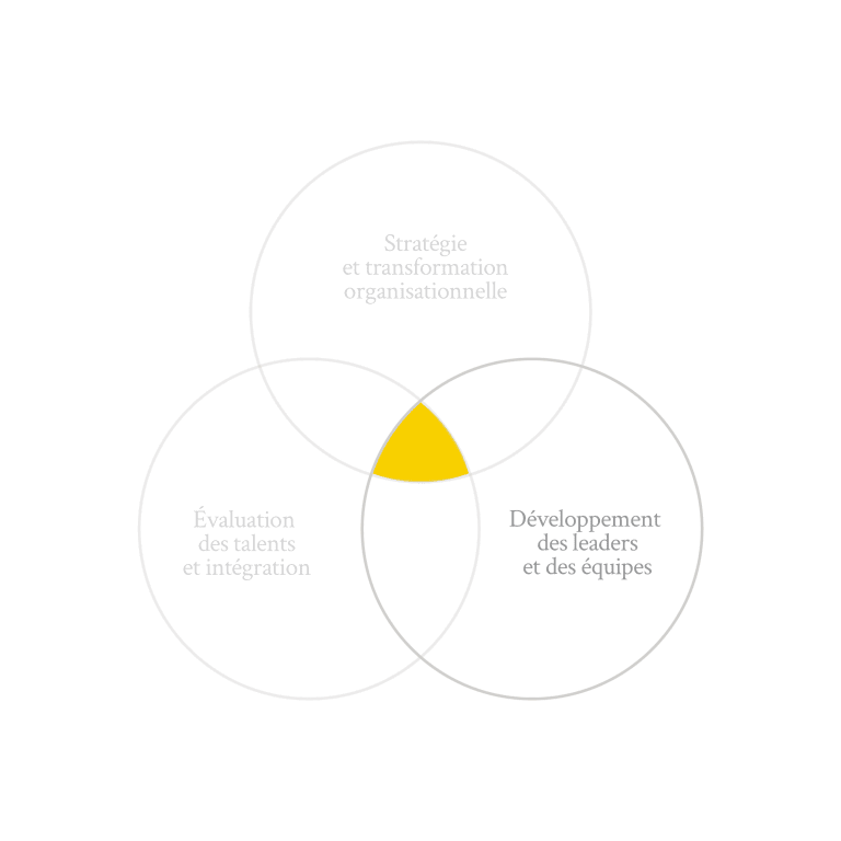Image avec 3 cercles pour illustrer la pratique développement des leaders et des équipes de Humance