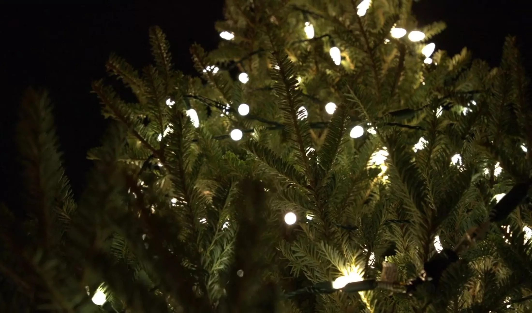 Joyeuses Fêtes 2025!